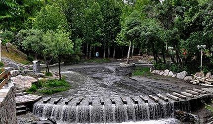 پارک جنگلی وکیل آباد